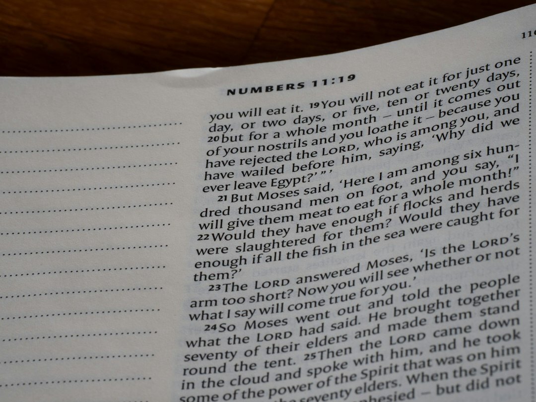 mystery book pages