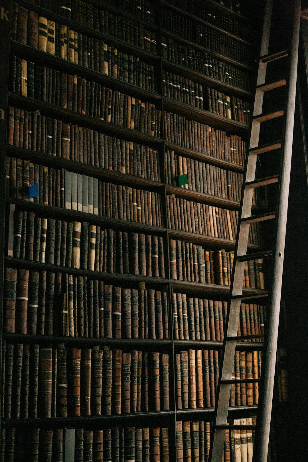 Tall old library bookshelves filled with leather-bound books